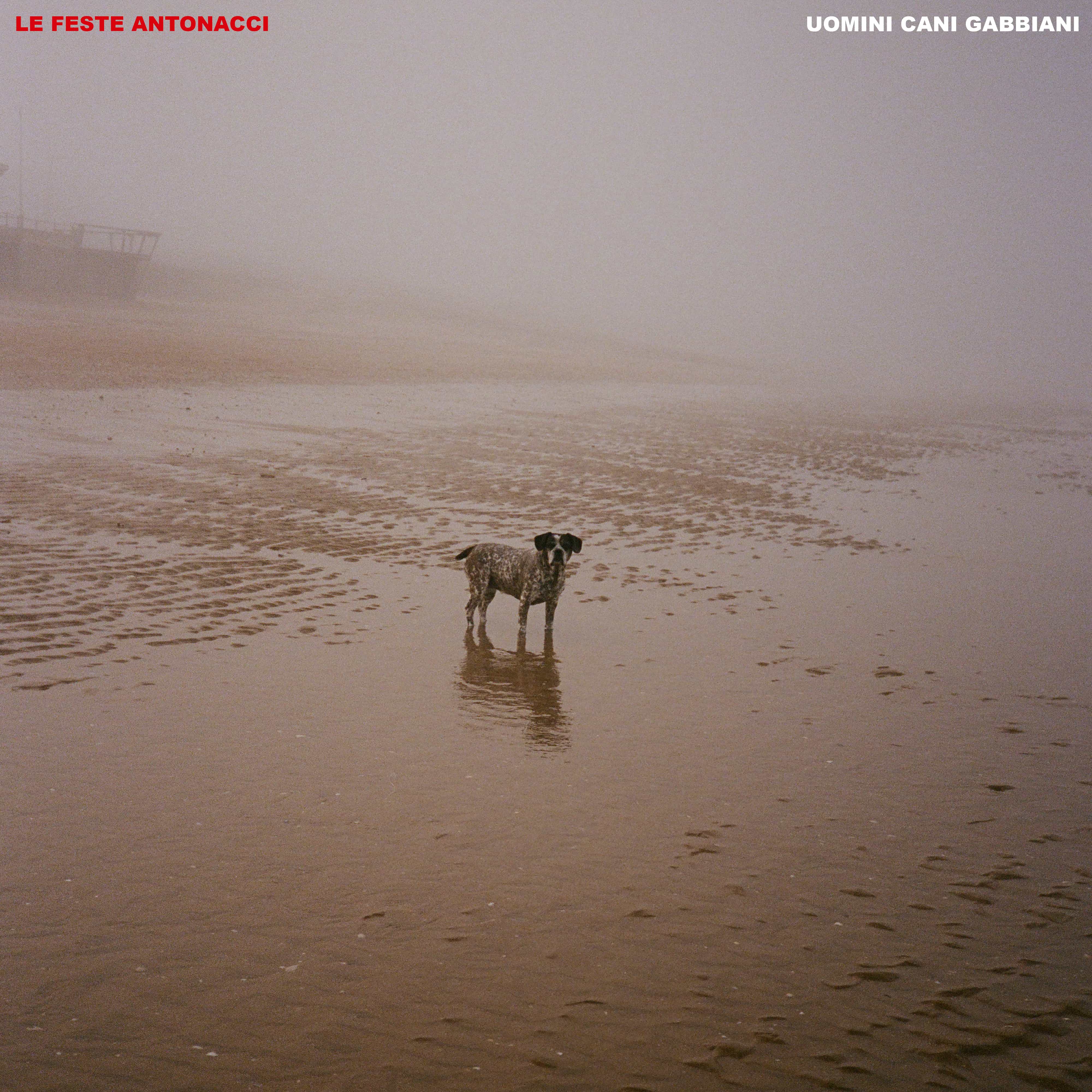 La copertina di "Uomini gani gabbiani" l'album d'esordio de Le Feste Antonacci
