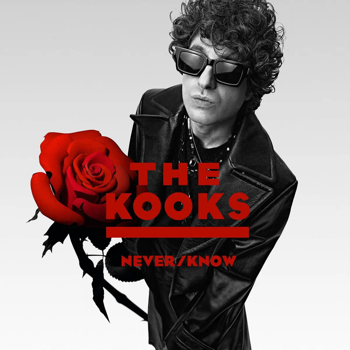 The Kooks - "Never/Know" album copertina